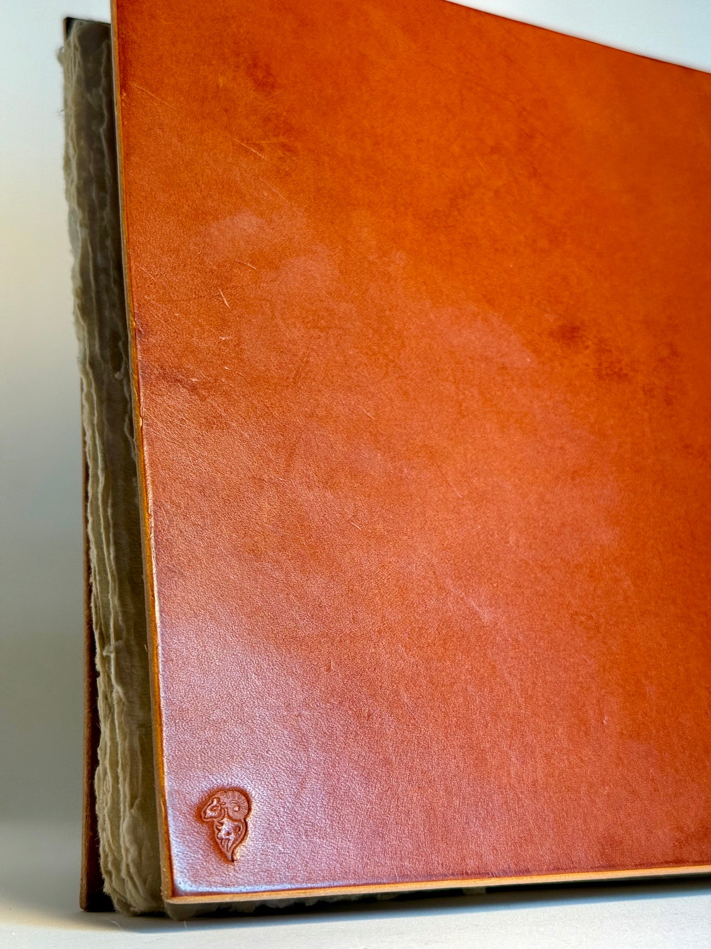 The Guest Book