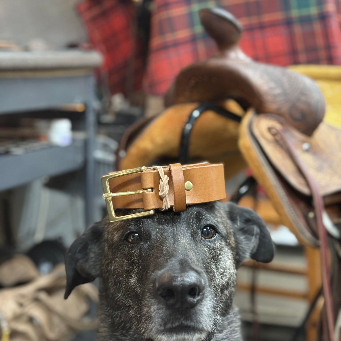 The Classic Wide Leather Belt | Saddle Tan