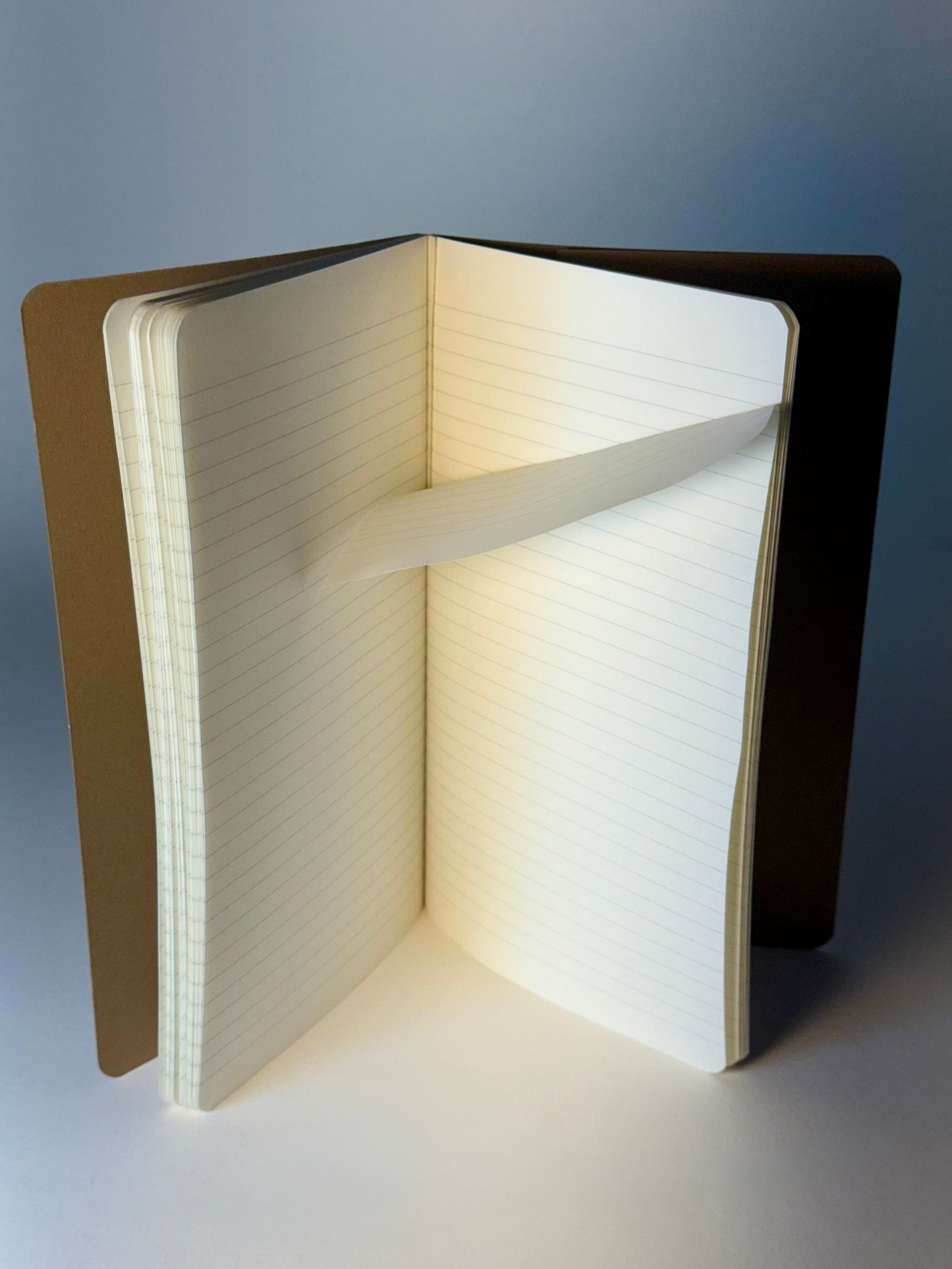 Open notebook with lined pages on a gradient background