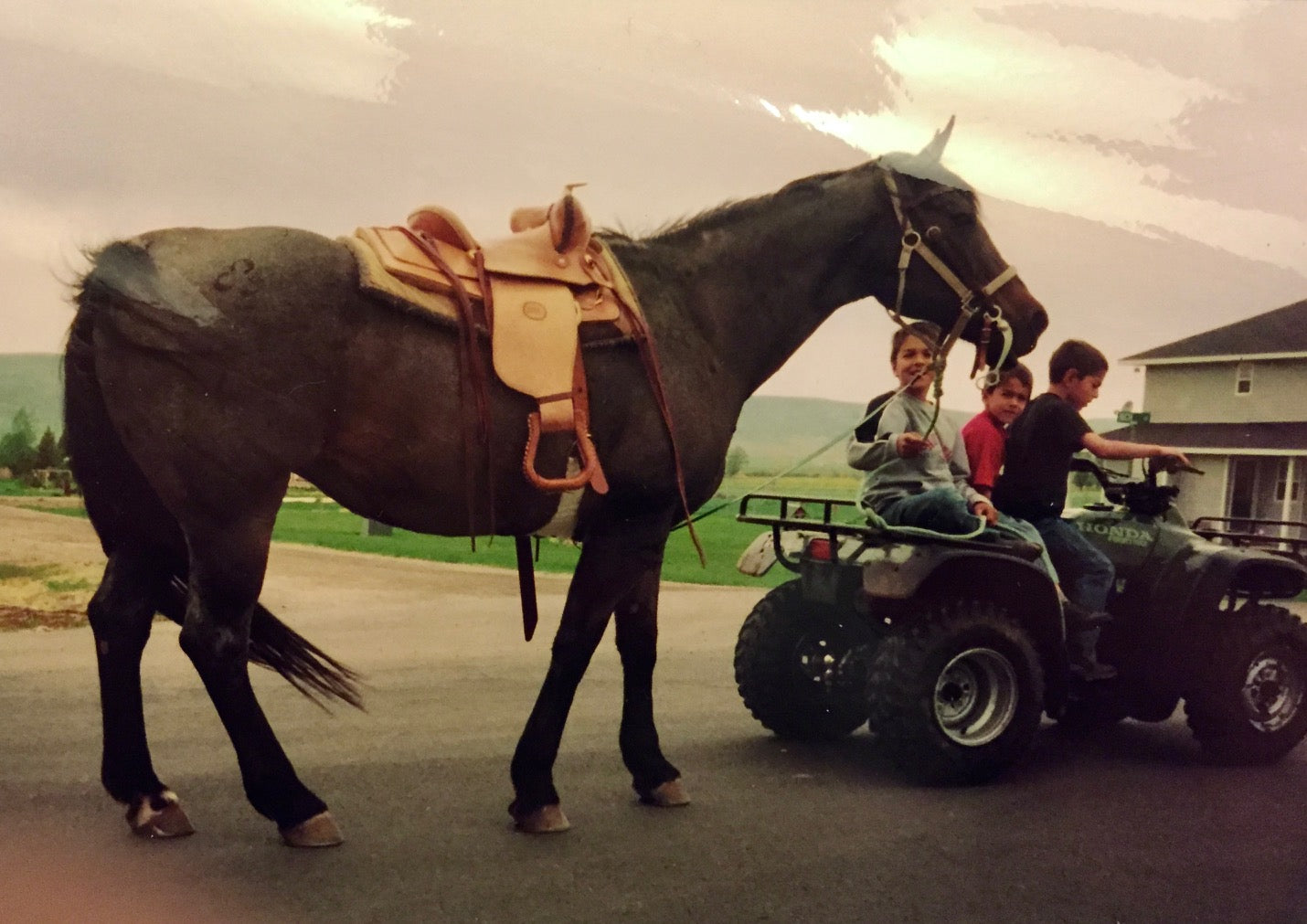 Blue Roan Horse with Custom Saddle & 3 Brothers on Four-Wheeler