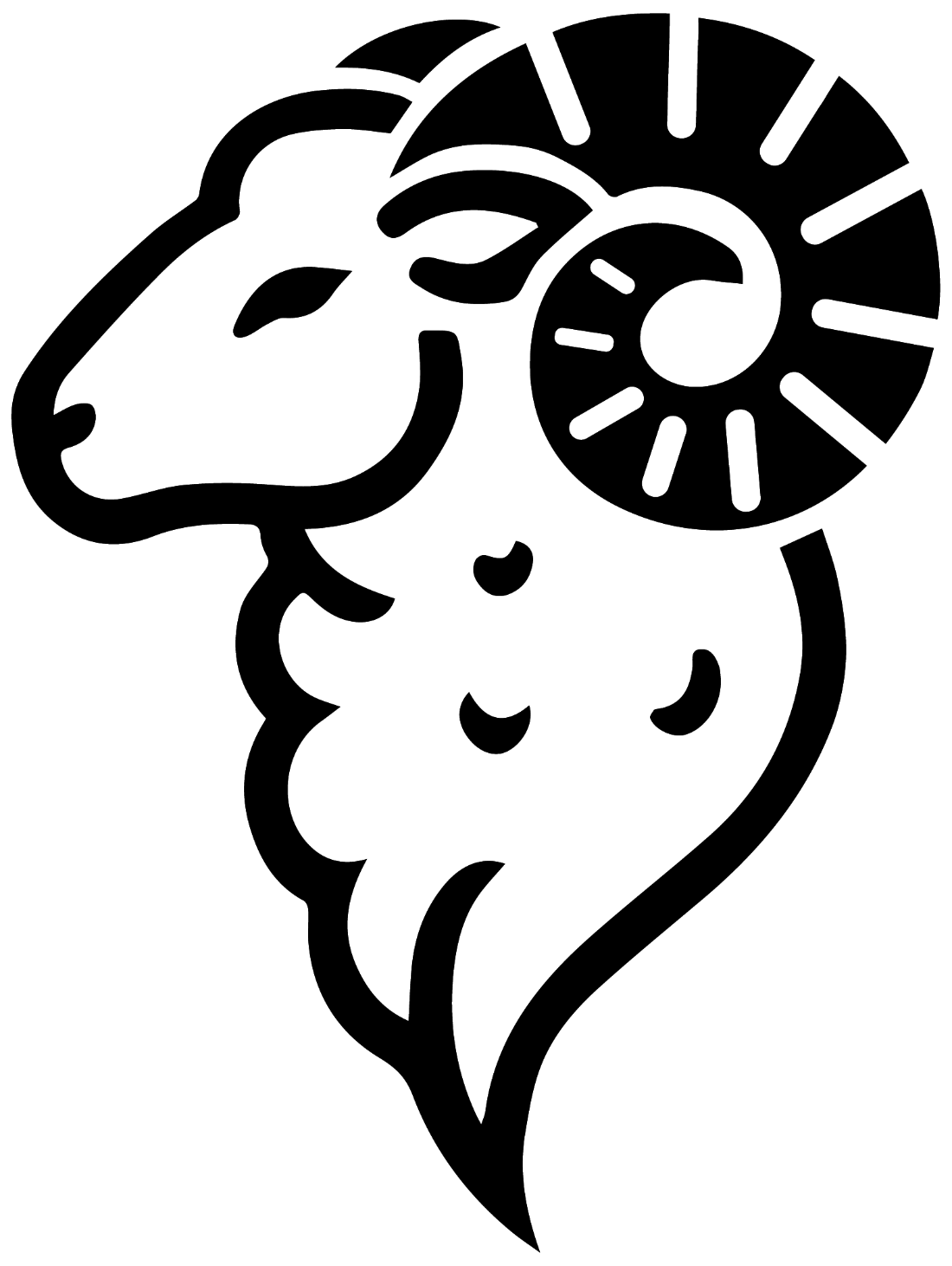Merino Sheep
